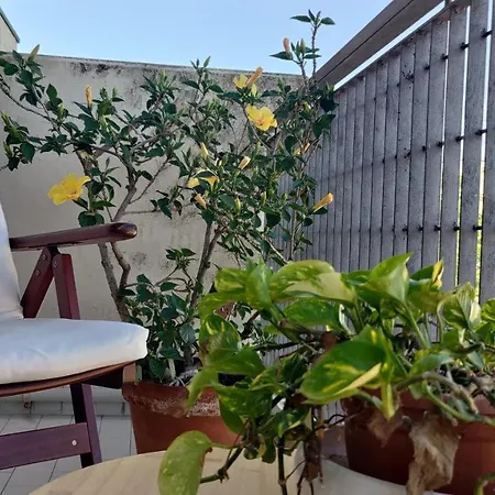 Comodo Per Venezia - Schissa Apartment Jesolo Exterior foto